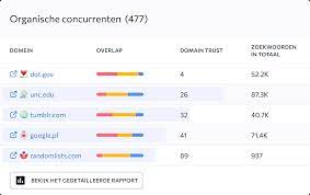 seo concurrentieanalyse