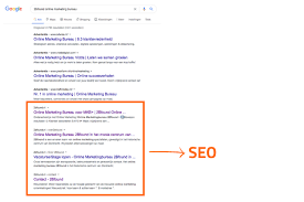 wat is seo website