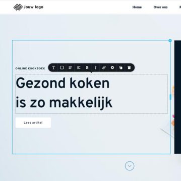 maatwerk website kosten