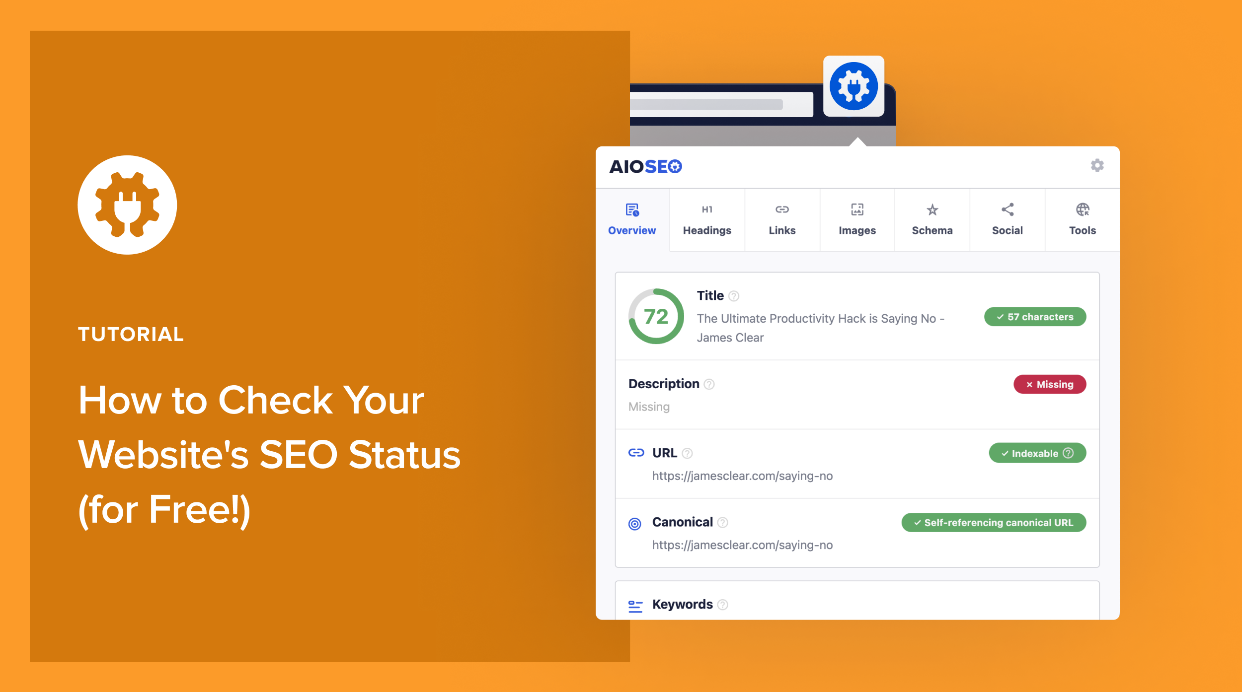 check my website seo
