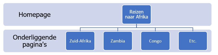 seo website betekenis